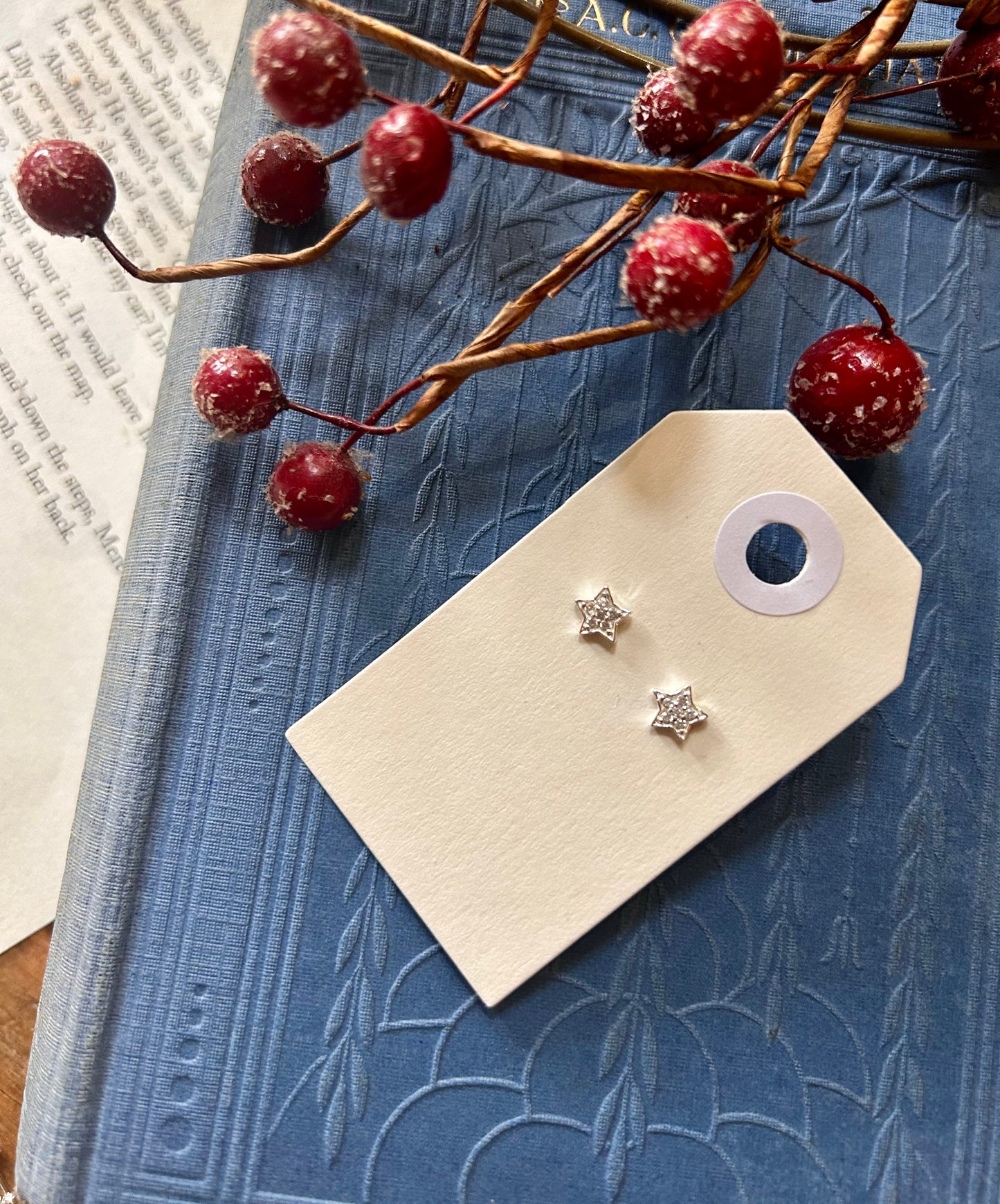 Sparkle star stud earrings 🌟