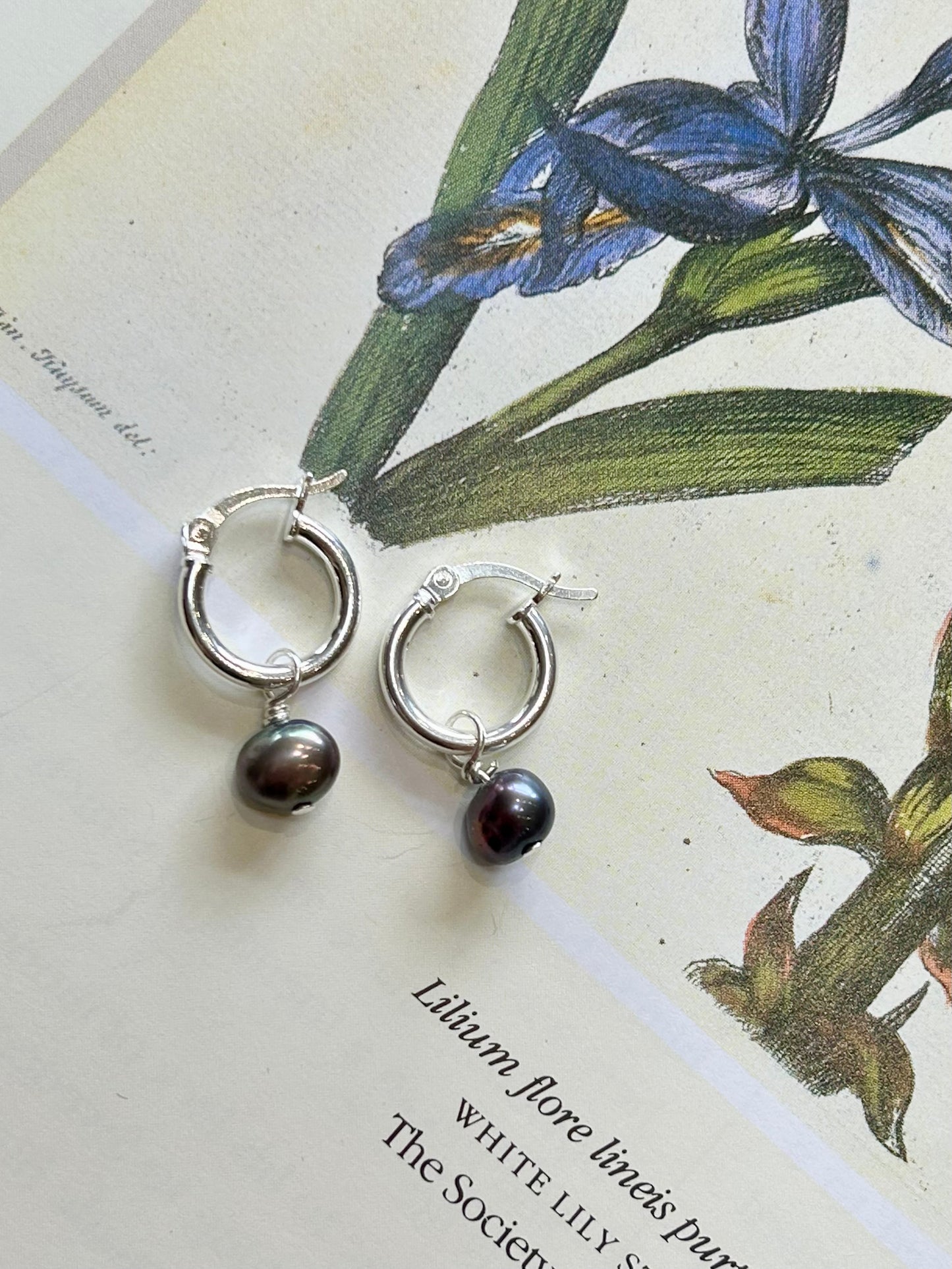 Freshwater pearl mini hinge hoops - peacock blue pearl