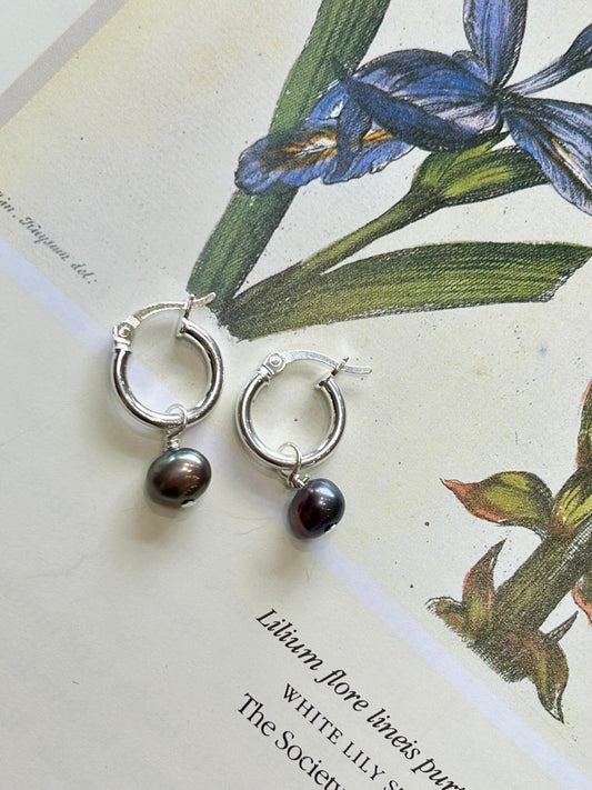 Freshwater pearl mini hinge hoops - peacock blue pearl