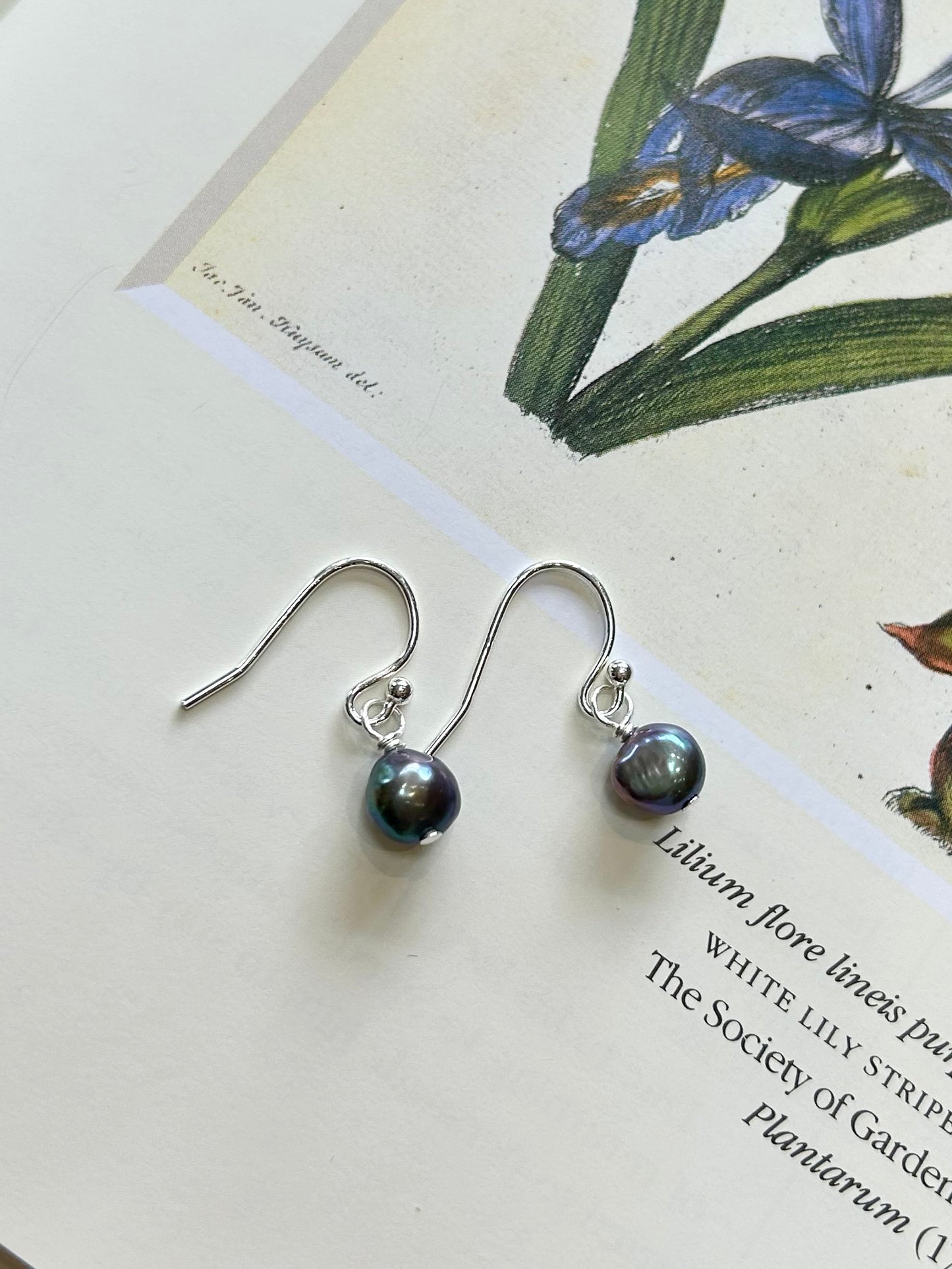 Freshwater pearl dangle hook earrings - peacock blue pearl