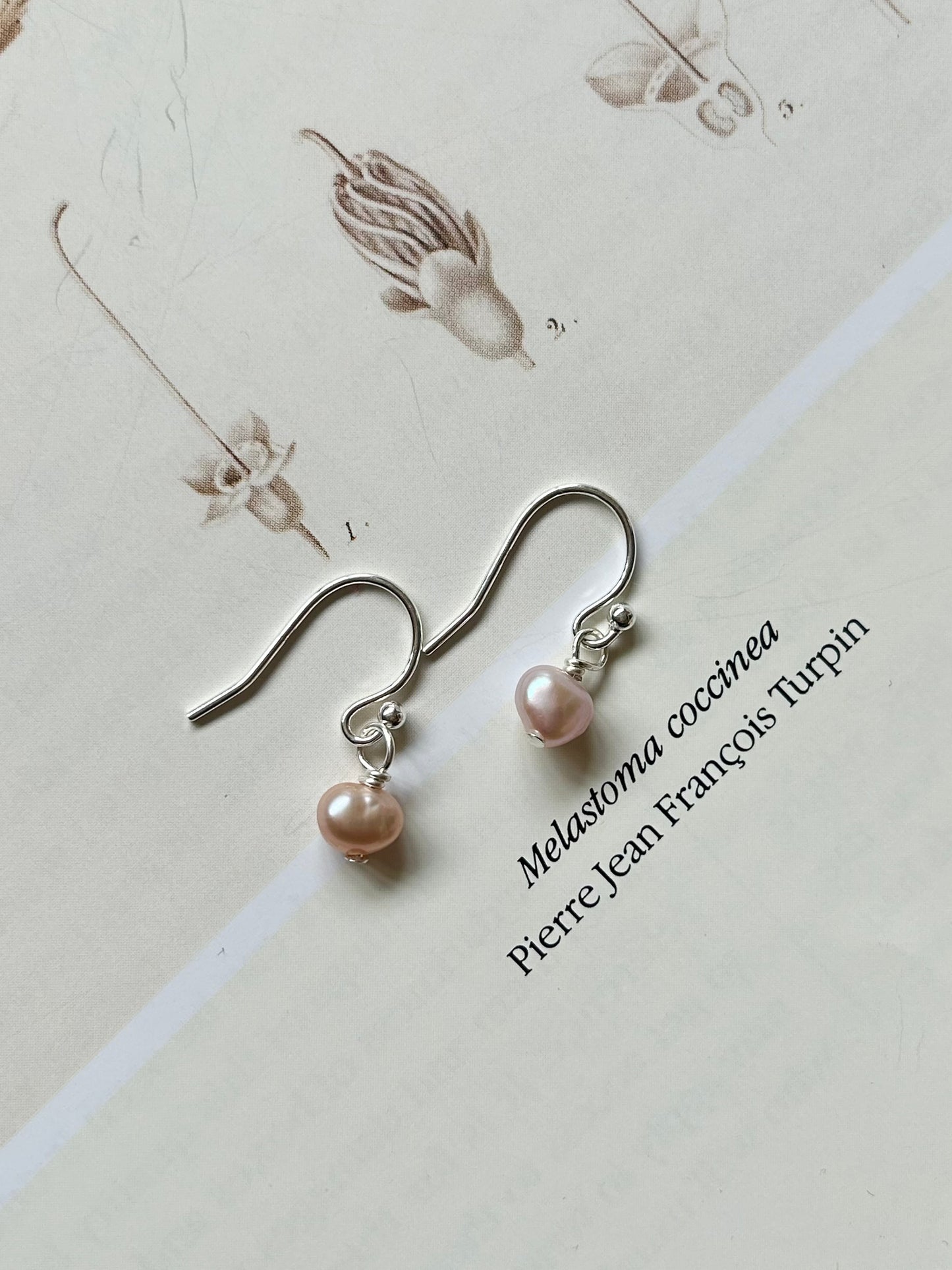 Freshwater pearl dangle hook earrings - blush pink pearl
