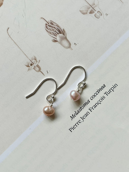 Freshwater pearl dangle hook earrings - blush pink pearl